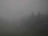 19 : 32