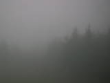 19 : 40