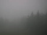 19 : 48