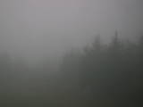 19 : 52