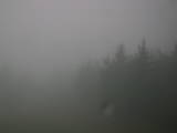 19 : 56