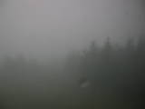 20 : 04