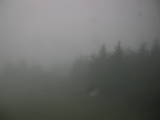 20 : 08