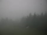 20 : 14