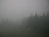 20 : 16