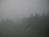 20 : 24