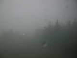 20 : 42