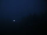 21 : 52