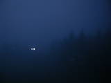 04 : 04