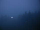 04 : 08