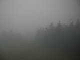 05 : 36