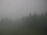 06 : 44