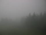 07 : 12