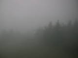 07 : 36