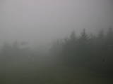 08 : 06