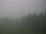 09 : 54