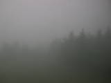 10 : 14