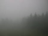 13 : 44