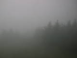 13 : 48