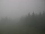 14 : 00