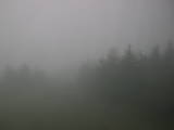 14 : 20
