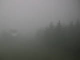 14 : 28