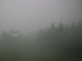14 : 36