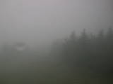 14 : 48