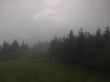 17 : 16