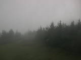 17 : 20