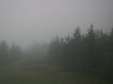 19 : 36