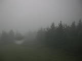 20 : 10