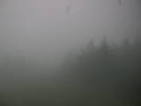 07 : 44