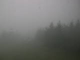 09 : 44