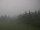 08 : 50