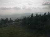 17 : 24