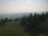 17 : 44