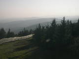 19 : 08