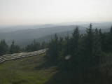 18 : 20