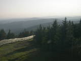 19 : 20