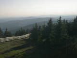 19 : 20