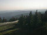 19 : 36