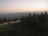20 : 20