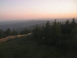 20 : 38