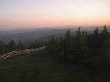 20 : 40