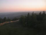 20 : 42