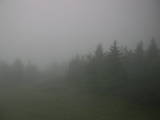 07 : 36