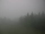 07 : 44