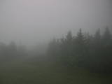 08 : 20