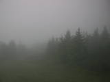09 : 24